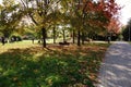 ÃÂ¡hildren play a municipal park ÃÂ²y a sunny autumn day